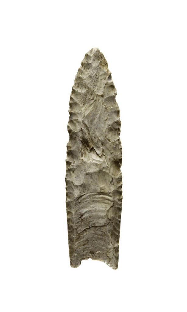Clovis Point Artifact

Source: Smithsonian National Museum of Natural History – Human Origins Program
Artifact Collection: Clovis Projectile Points
URL: https://humanorigins.si.edu